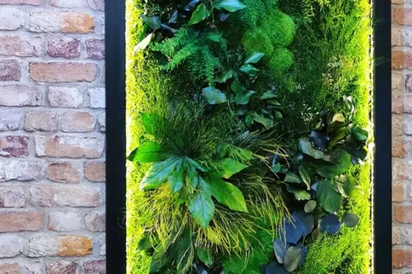 Zielony Format Stabilizowanych Roślin